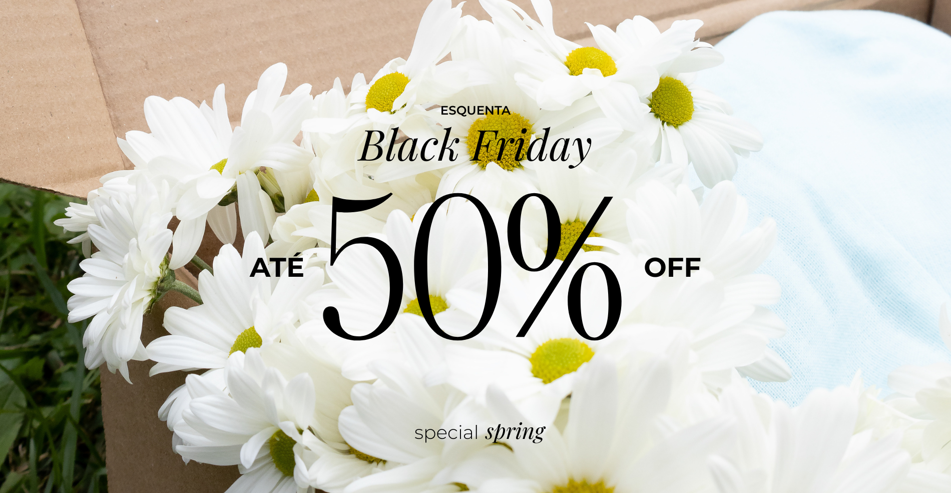 SPRING SALE | REKIM